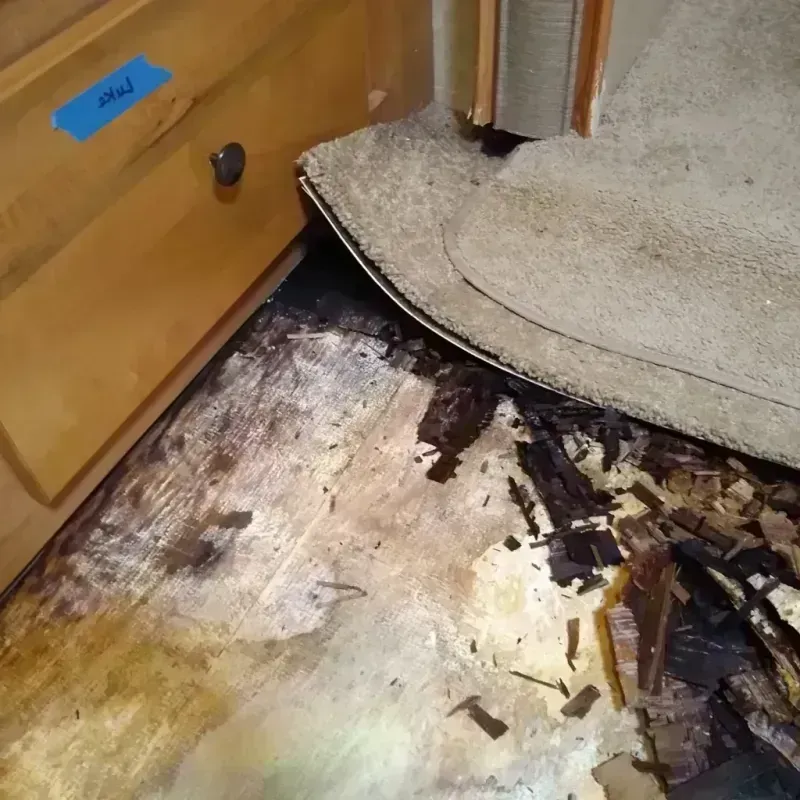 Wood Floor Water Damage in Rincon, GA